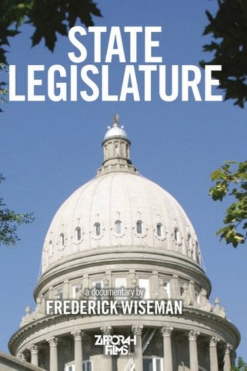 Movie poster for State Legislature (2007)