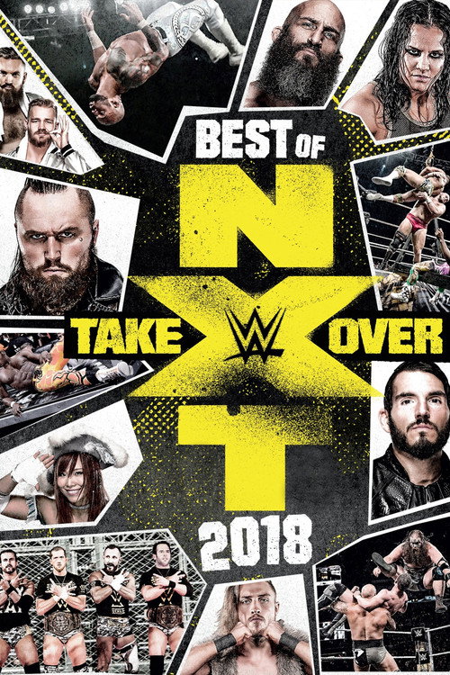 Movie poster for WWE Best of NXT TakeOver 2018 (2019)