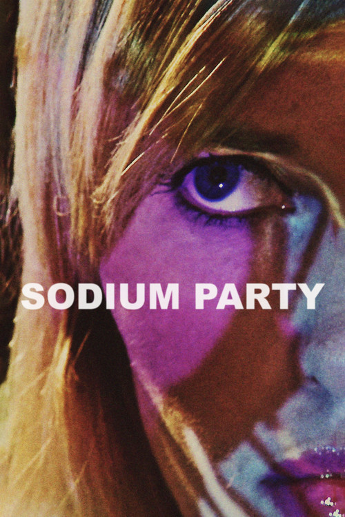 Movie poster for Sodium Party (2013)