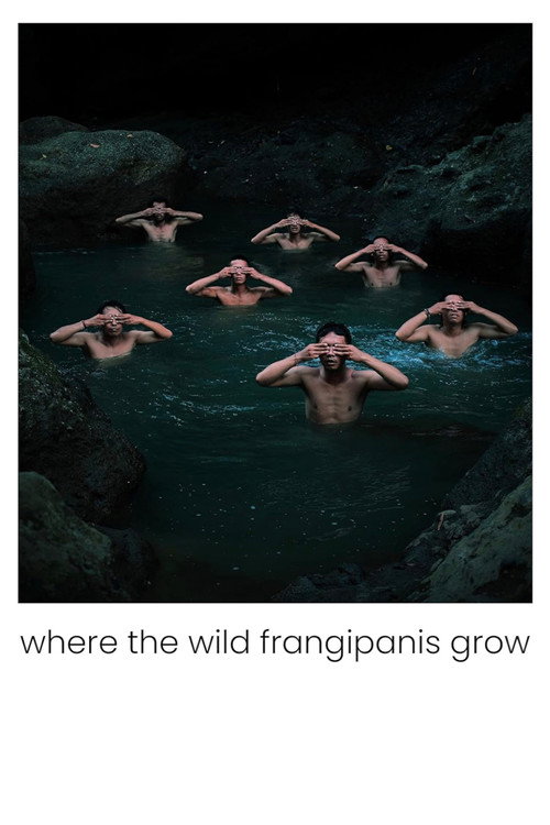 Movie poster for Where the Wild Frangipanis Grow (2023)