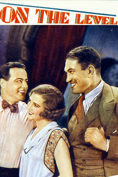 Movie poster for On the Level (1930)