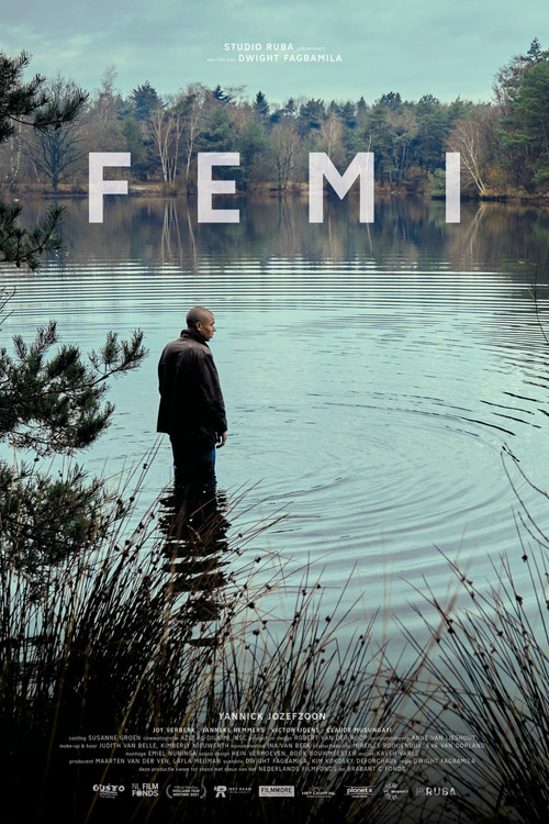 Movie poster for Femi (2022)