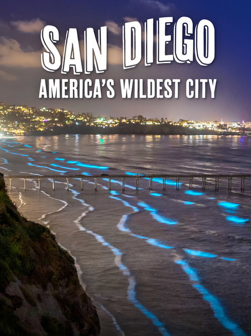 Movie poster for San Diego: America's Wildest City (2024)