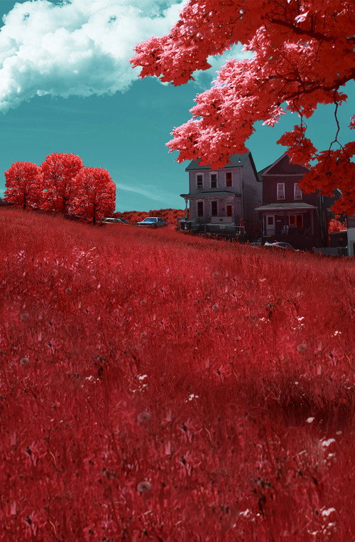 Movie poster for Braddock, PA (2018)