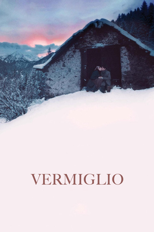 Movie poster for Vermiglio (2024)