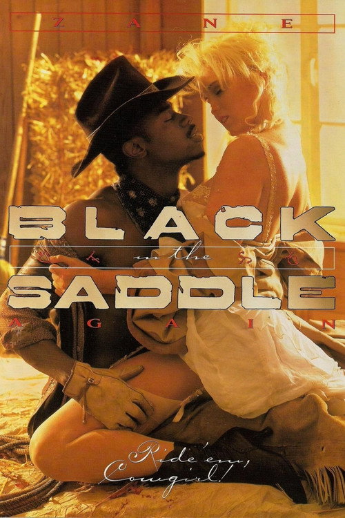 Movie poster for Black in the Saddle Again (1991)