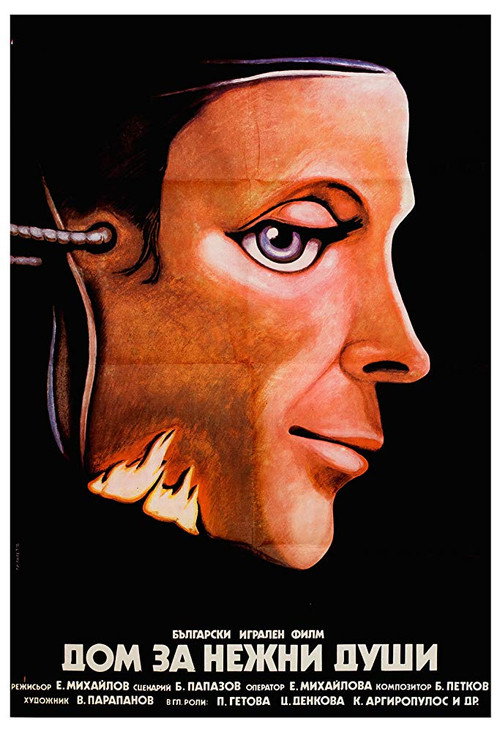 Movie poster for The House of Gentle Souls (1981)