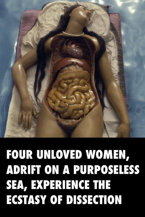 Movie poster for Four Unloved Women, Adrift on a Purposeless Sea, Experience the Ecstasy of Dissection (2023)