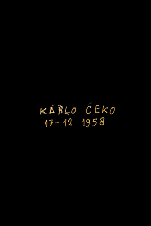 Movie poster for Karlo Čeko, Strasbourg Saint-Denis, Paris (2022)