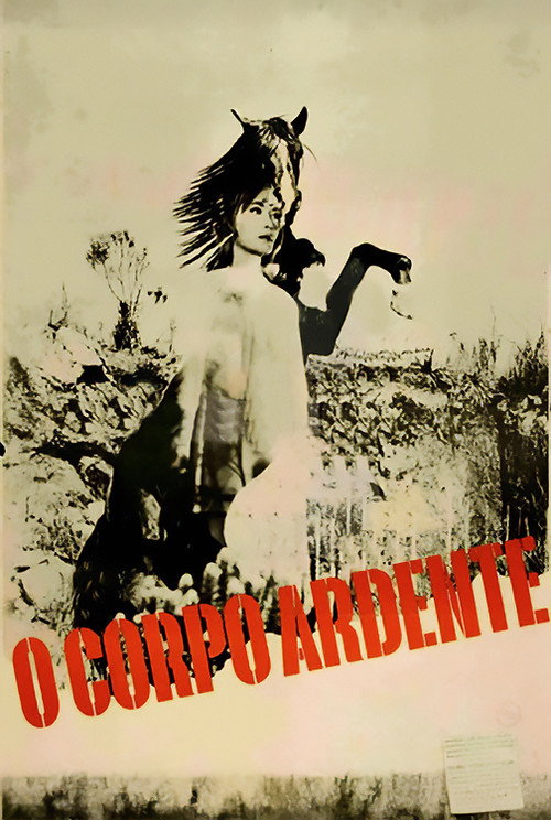 Movie poster for The Burning Body (1966)