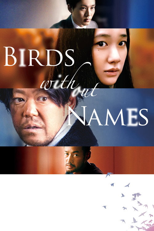 Movie poster for Birds Without Names (2017)