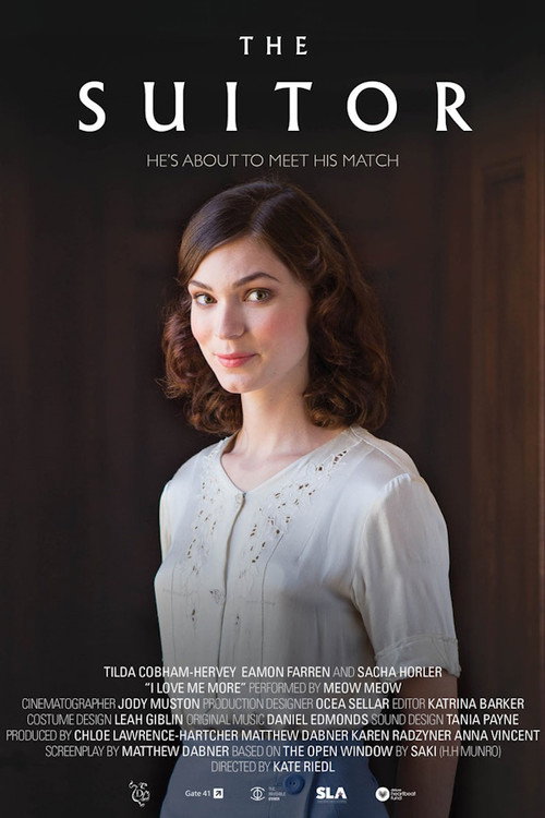 Movie poster for The Suitor (2017)