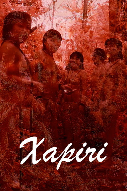 Movie poster for Xapiri (2016)