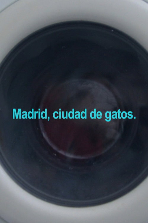 Movie poster for Madrid, City of Cats (2020)