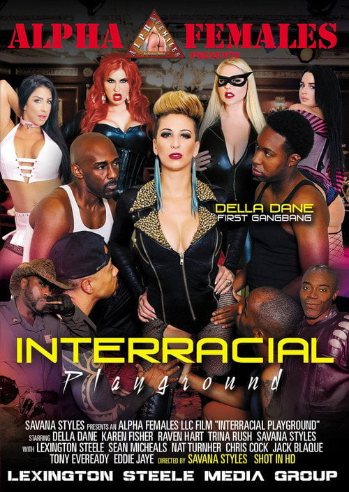 Movie poster for Interracial Playground (2018)