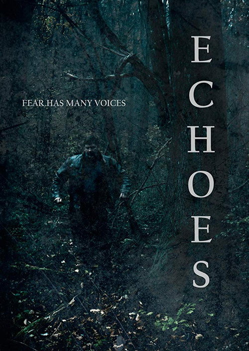 Movie poster for Echoes (2018)