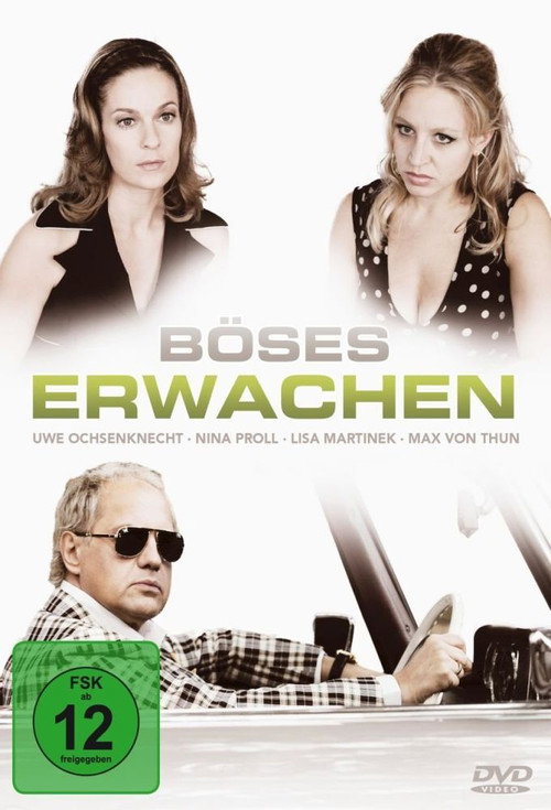 Movie poster for Böses Erwachen (2010)