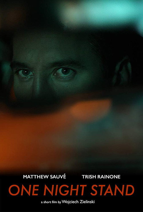 Movie poster for One Night Stand (2016)
