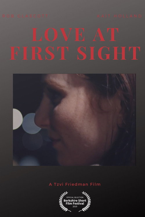 Movie poster for Love at First Sight (2019)