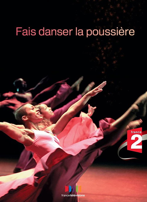 Movie poster for Fais danser la poussière (2010)