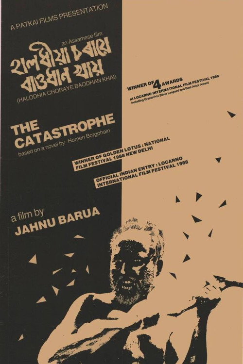 Movie poster for The Catastrophe (1987)