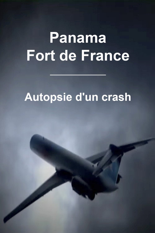 Movie poster for Panama - Fort de France : Autopsie d'un crash (2010)