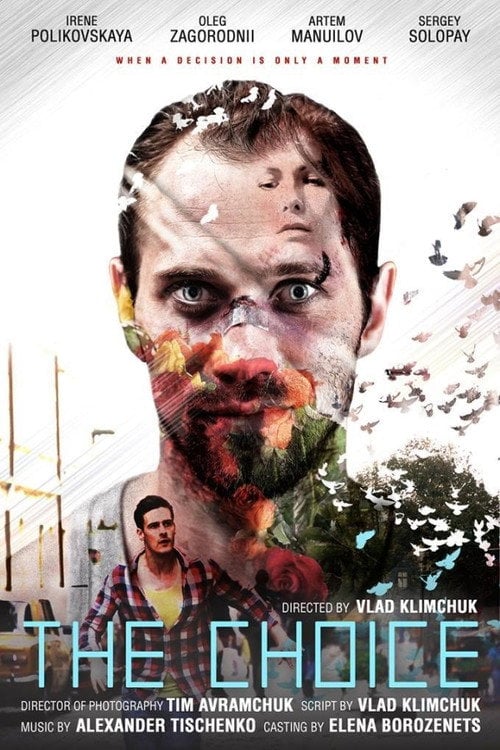 Movie poster for The Choice (2016)