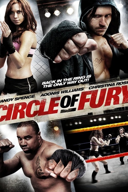 Movie poster for Circle of Fury (2010)