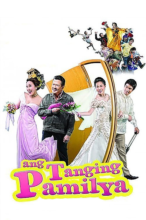 Movie poster for The Only Family (2009)