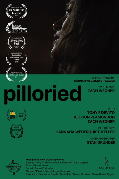Movie poster for Pilloried