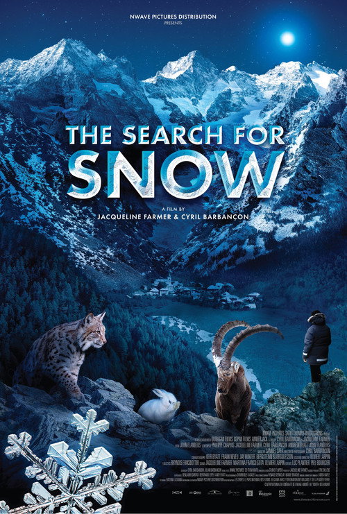 Movie poster for The Search for Snow (2021)