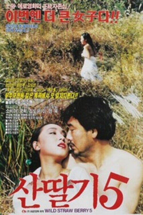 Movie poster for Mountain Strawberries 5 (1992)