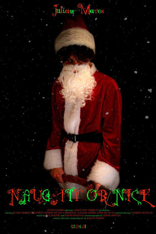 Movie poster for Naughty or Nice (2021)