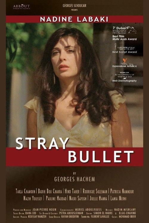 Movie poster for Stray Bullet (2010)