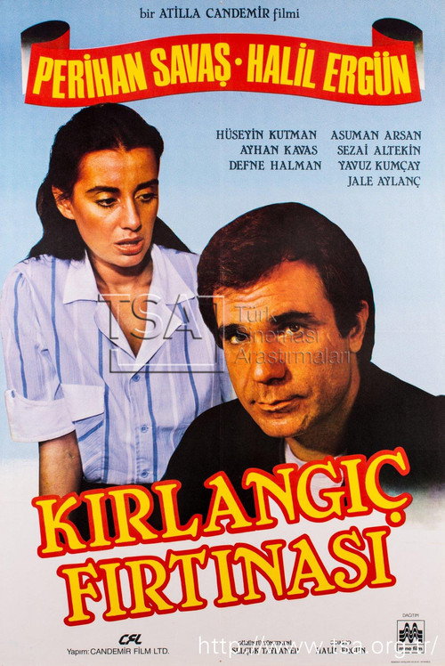 Movie poster for Kırlangıç Fırtınası (1985)