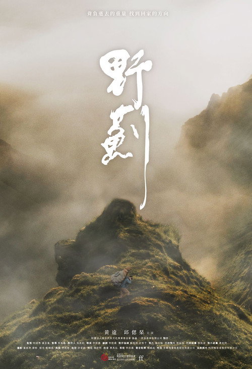 Movie poster for The Way Home (2022)