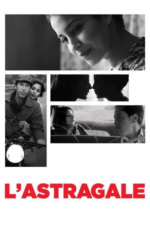 Movie poster for Astragal (2015)