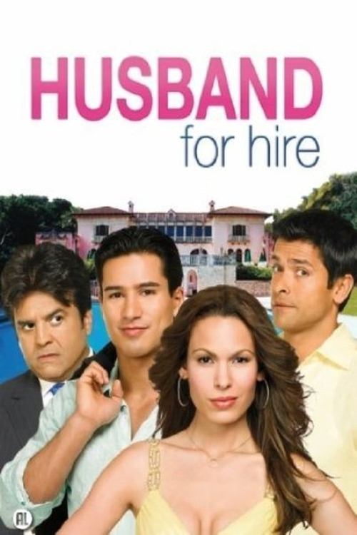 Movie poster for Husband for Hire (2008)