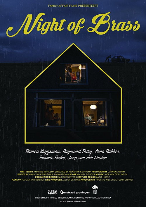Movie poster for Nacht van de Fanfare (2016)