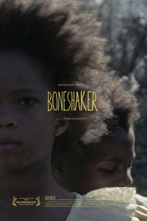 Movie poster for Boneshaker (2013)