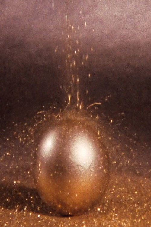 Movie poster for Película sudorosa II (2009)