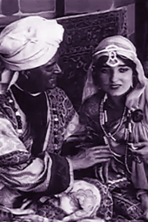 Movie poster for The Mystery of the Sleeping Death (1914)