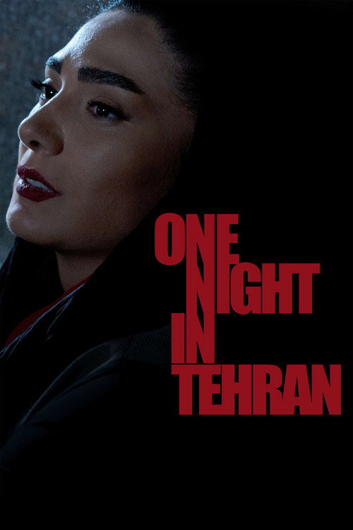 Movie poster for One Night in Tehran (2019)