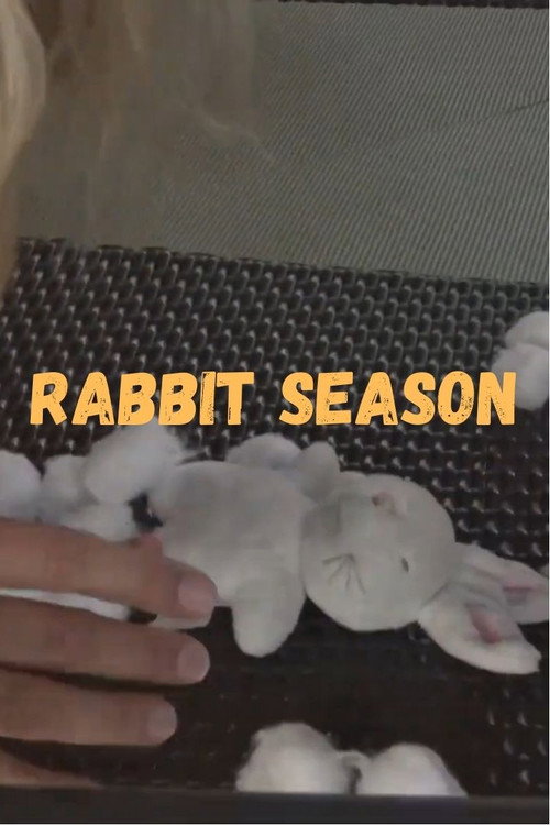 Movie poster for Rabbit Season