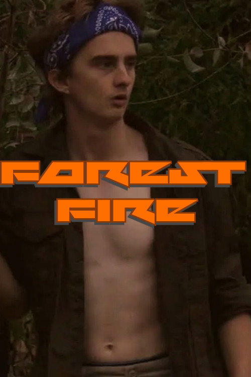 Movie poster for Forest Fire (2022)