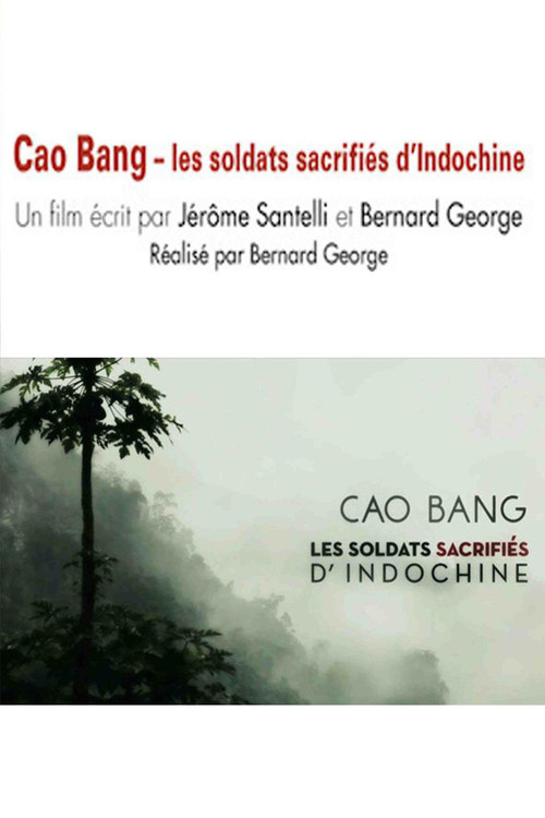 Movie poster for Cao Bang, les soldats sacrifiés d'Indochine (2014)