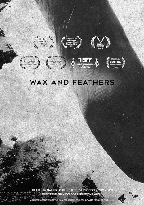 Movie poster for Wax And Feathers (2018)