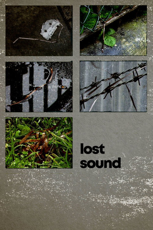 Movie poster for Lost Sound (2001)