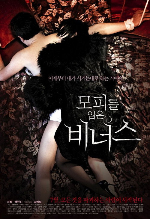 Movie poster for Venus in Furs (2012)