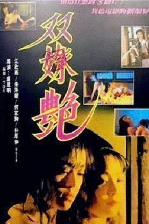 Movie poster for Two Girl's Faced (1995)